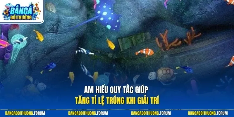 Am hiểu quy tắc giúp tăng tỉ lệ trúng khi giải trí