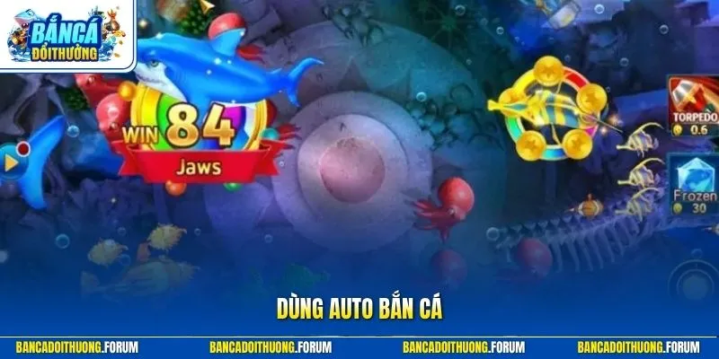 Dùng Auto bắn cá