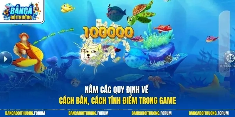 Nắm các quy định về cách bắn, cách tính điểm trong game