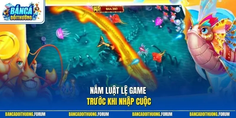 Nắm luật lệ game trước khi nhập cuộc